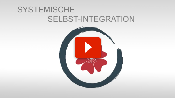 Video Systemische Selbst-Integration / Einführung