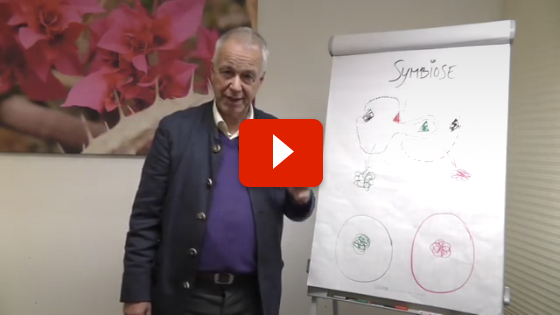 Video Beziehung und Symbiose
