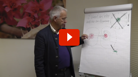 Video Gewalt und Symbiose