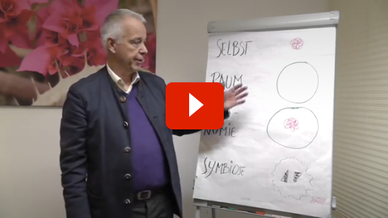 Video Autonomie und Symbiose